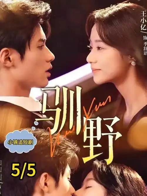 沿海群像剧雾港热播电视剧全集在线